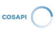 Cosapi Minera